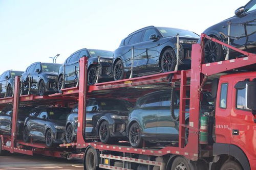 206輛商品車(chē)從阿拉山口口岸出口至中亞兩國(guó)